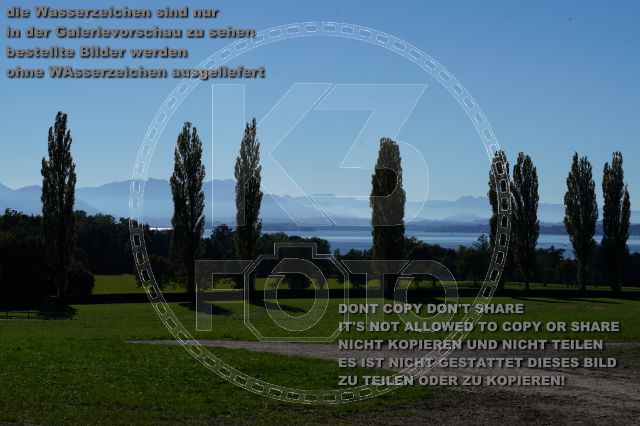 s_K3F09994.JPG